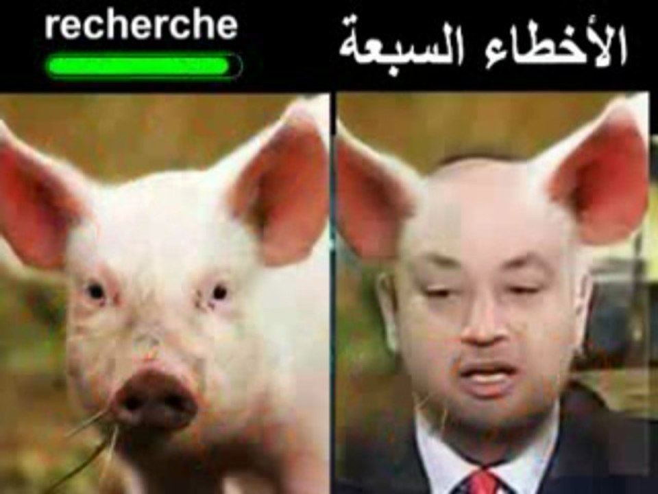 algérie egypte amr مش اديب