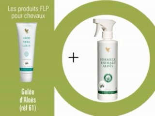 Nos_produits_Chevaux