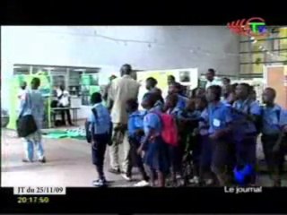 2009 année internationale de la protection des gorilles