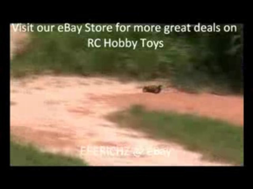 EEERICHZ-1/10 RC Buggy