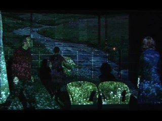 Les pieds dedans (extraits)