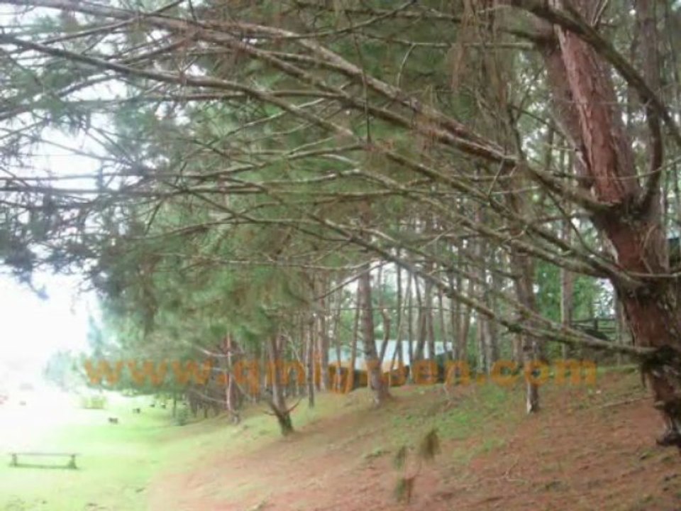 How to Preserve the Environment With Environmentally Friendl