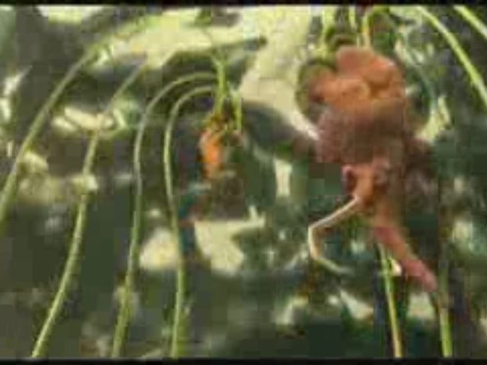 L'Age de Glace 3 - spot TV 20 secondes