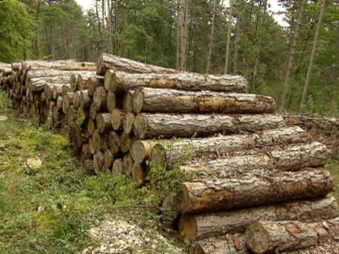 Journal du climat 2049