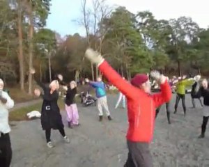 Paradigm Healer school November 2009