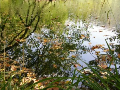 Funda Arar-Yollarına Gül Döktüm