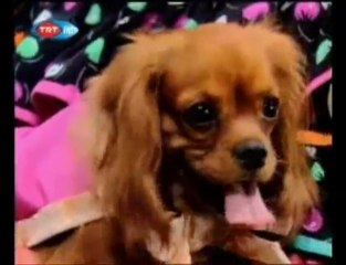 KEŞANLI ALİ DESTANI