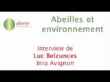Abeilles et environnement : ITW de Luc Belzunces
