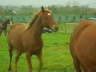 Qualy retrouve ses amis