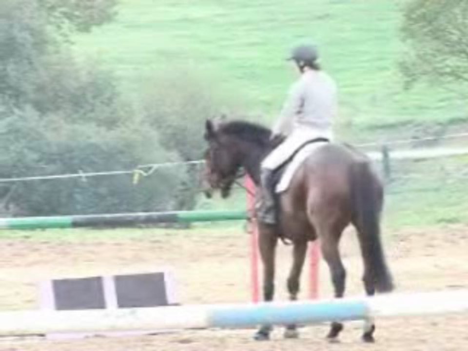 EQUILIBRAGE CONSTANT extrait(d'Orgeix)