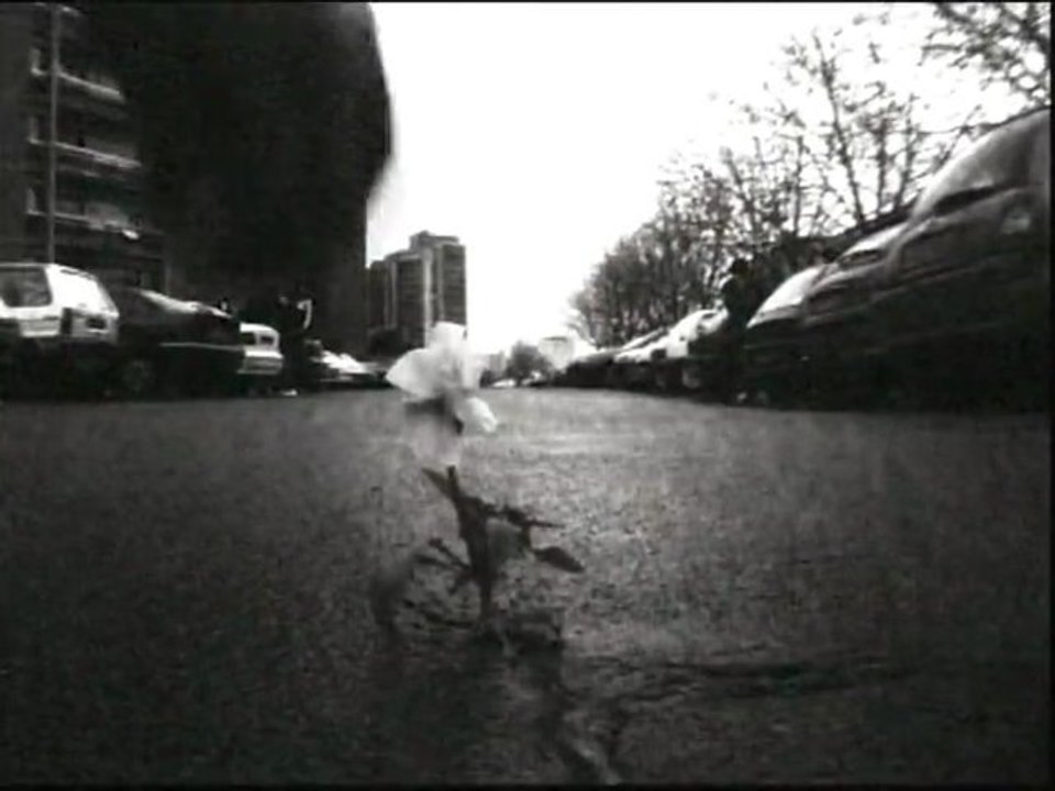 Clip de HOLOCOST-ORDURE-shone+ker