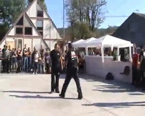 demo krav maga hskm pegomas 2009