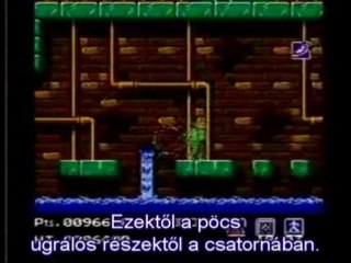 AVGN - Teenage Mutant Ninja Turtles HUN