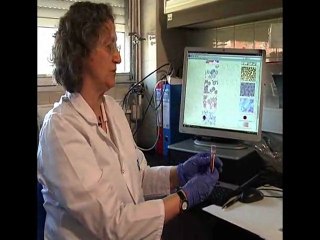 Un selva microscópica a la que enfrentarnos en los viajes