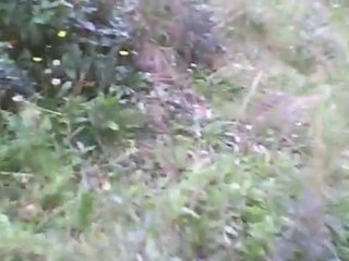 Perte de l'otage par les SEALS (Airsoft DNA 22/11/09)