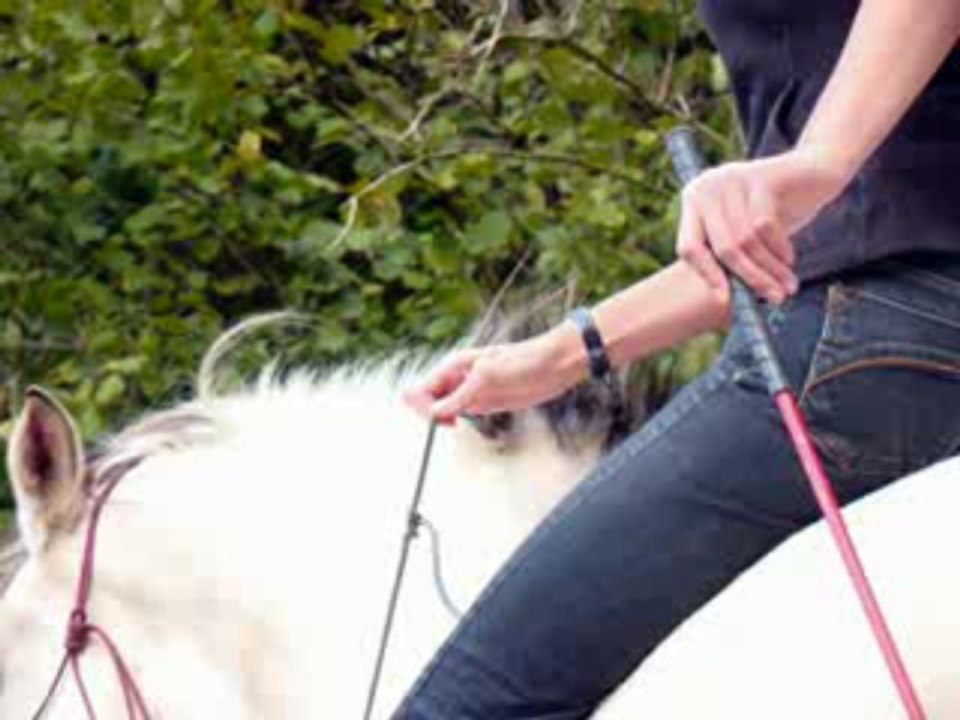 paroles de cavalières