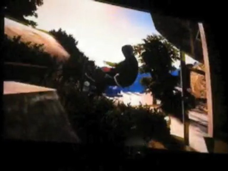 top 10 skate 2