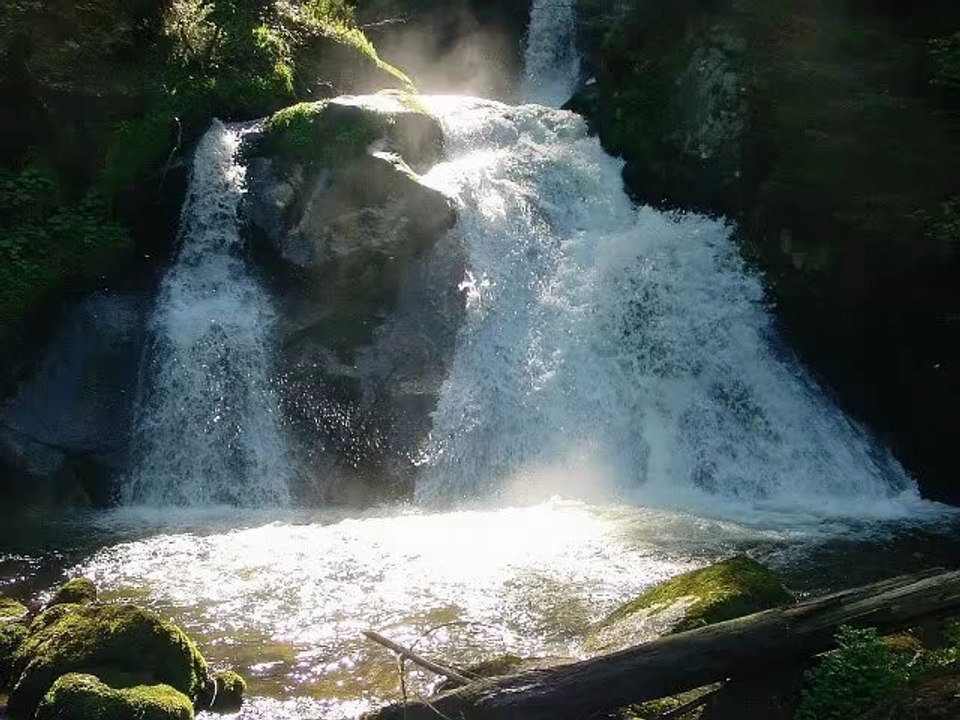 DONNES-MOI LA RÉPLIQUE ....