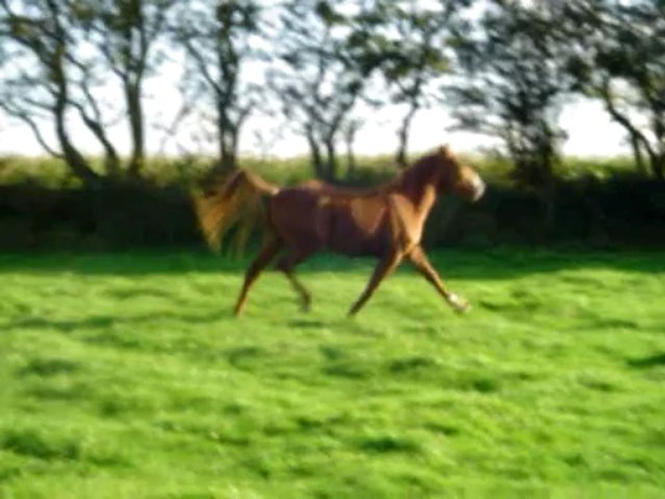 Un ange pas comme les autres ... <3