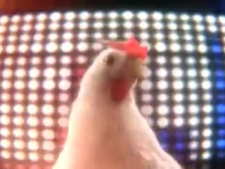 Start Laughing - Chicken Techno