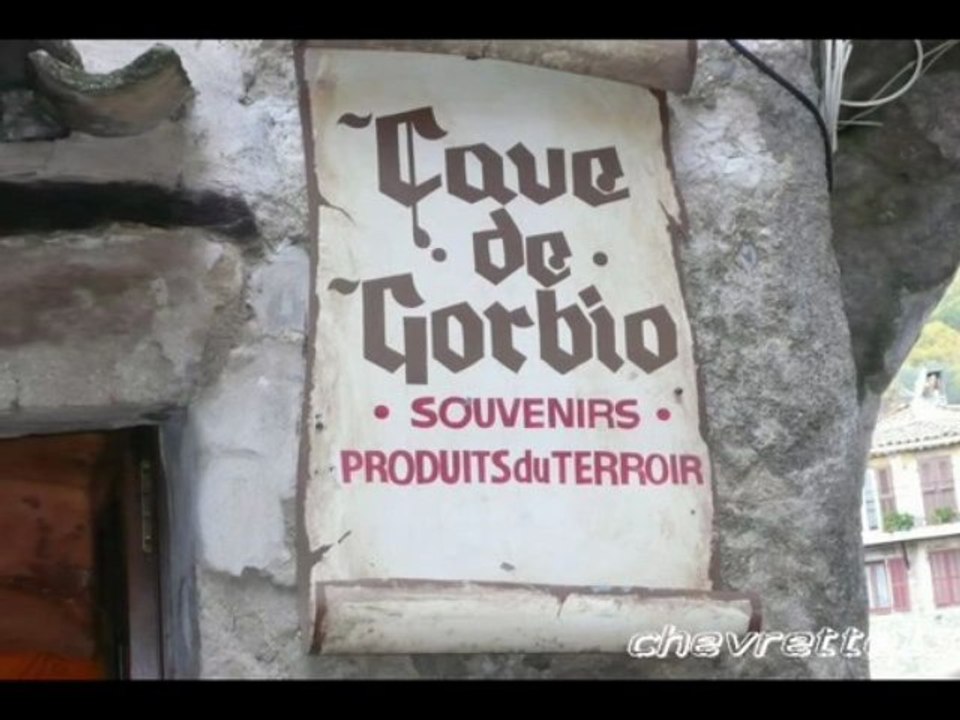 GORBIO village_0001