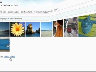 Windows Live Skydrive - Video