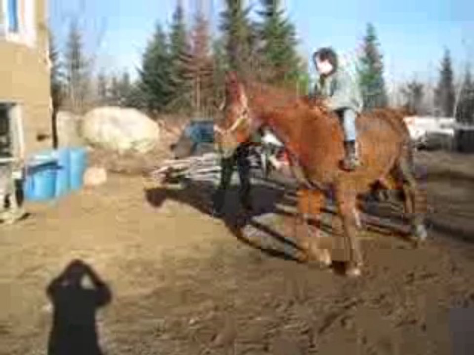 MVI_0422