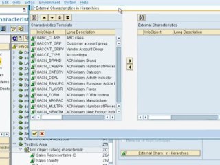 SAP Training Online -How to create hierarchies Pt1