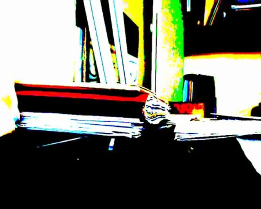 ENTRETIEN COMITE LOCAL DE SOUTIEN  SALAH HAMOURI 1