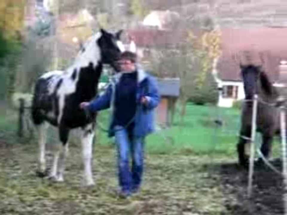 billy rencontre venci 1