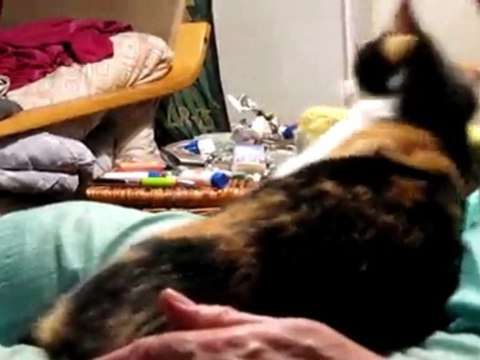 KEDIMIZ MIRRI 27.11.2009