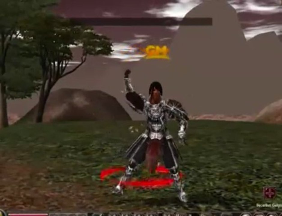 Metin 2 GM Dans Show