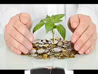 Penny Stock Newsletter Subscribe Website