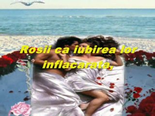 doua inimi si un trandafir