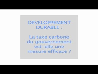 Environnement : les enjeux de l'actualité