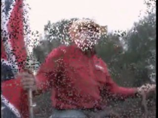 Entrainement de nos chevaux