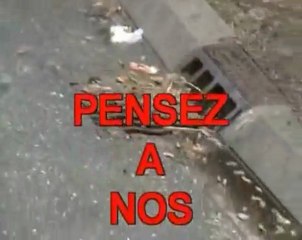 Reportage ecoclope La pollution urbaine des megots de cigare