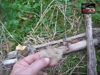 man vs wild part 2- FIRE friction bazik !!!