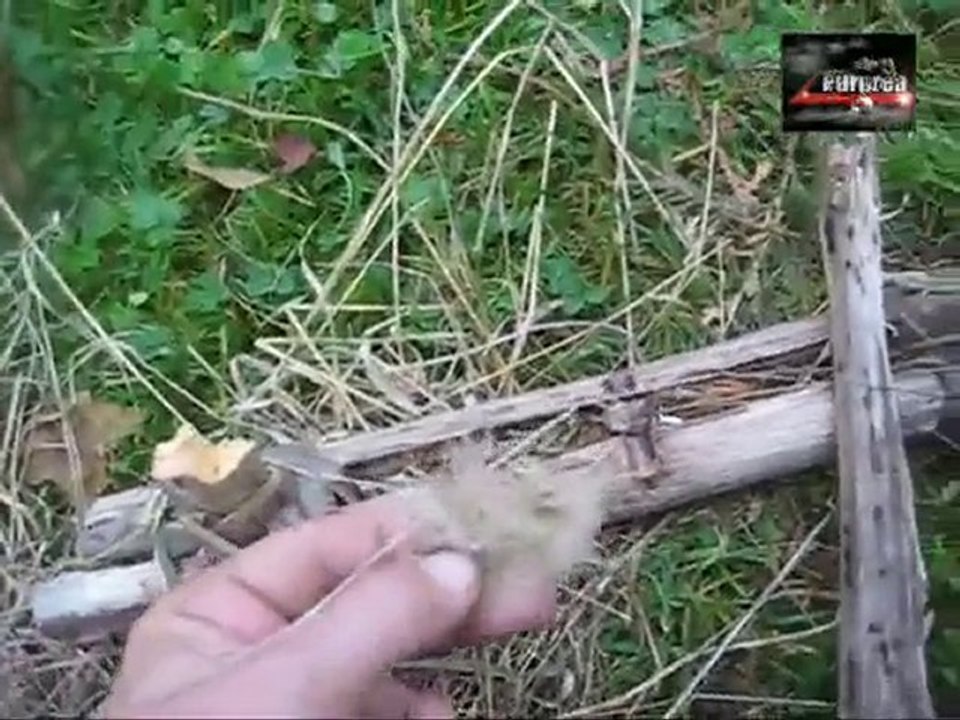 man vs wild part 2- FIRE friction bazik !!!