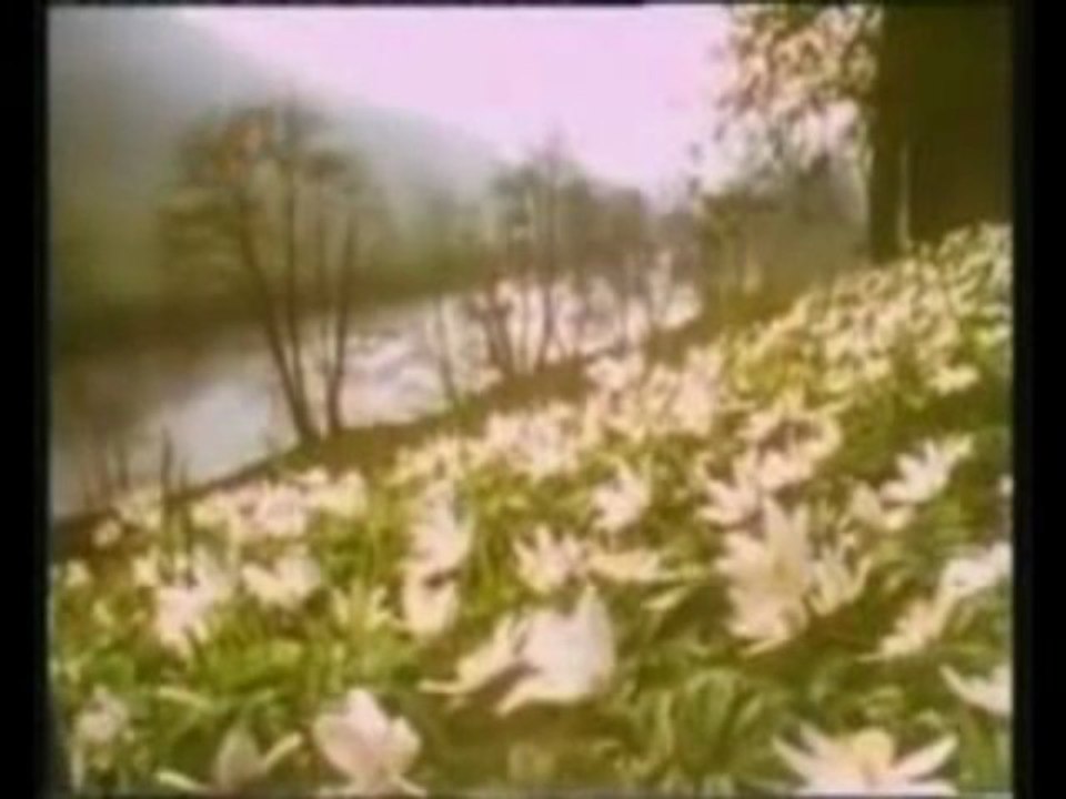 Ender DOGAN Ben Bir Yakup idim ( http   www.enderdogan.com