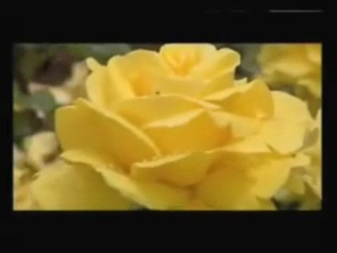 Ender DOGAN Kime ne ( ilahi ) ( http enderdogan.com