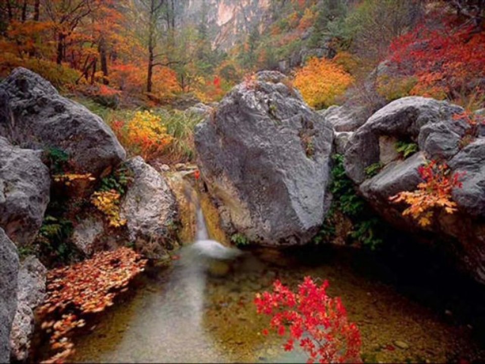 Les moulins de mon coeur Michel Legrand  RINO VALENTINO