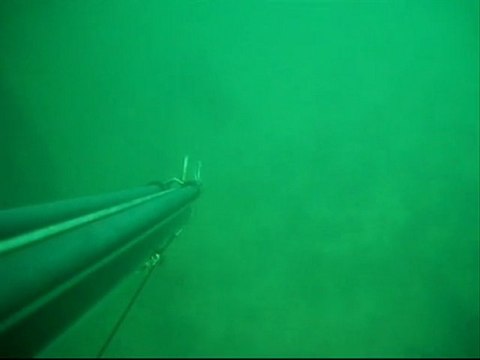 chasse sous marine en normandie