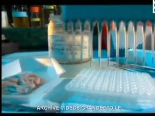 2x4 traqueurs d'animaux inconnus