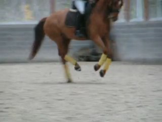 Wolkenfee et Charlotte Chalvignac 3 temps