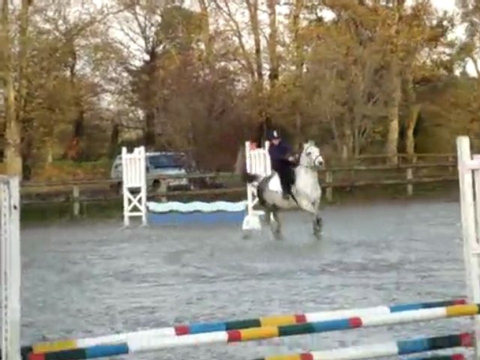 CSO 22 nov 09 marie T cow boy