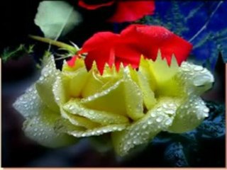 SANA BEN ŞİİRLER SÖZLER BÜYÜTTÜM