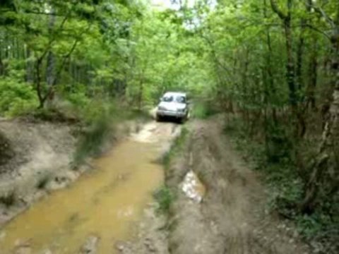 alex pajero bourbier