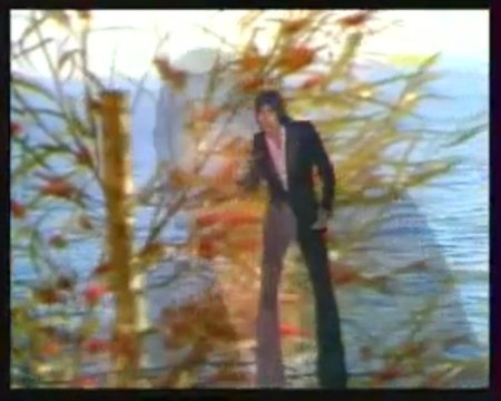 ringo - les oiseaux de thaïlande