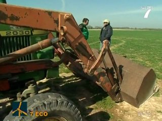 Colza : Sa particularité et ses enjeux (Loire-Atlantique)